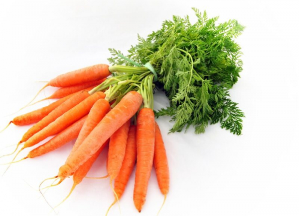 Полезные свойства и противопоказания моркови0